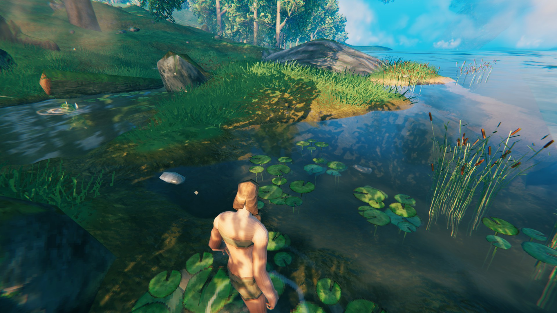 草原海岸の火打石