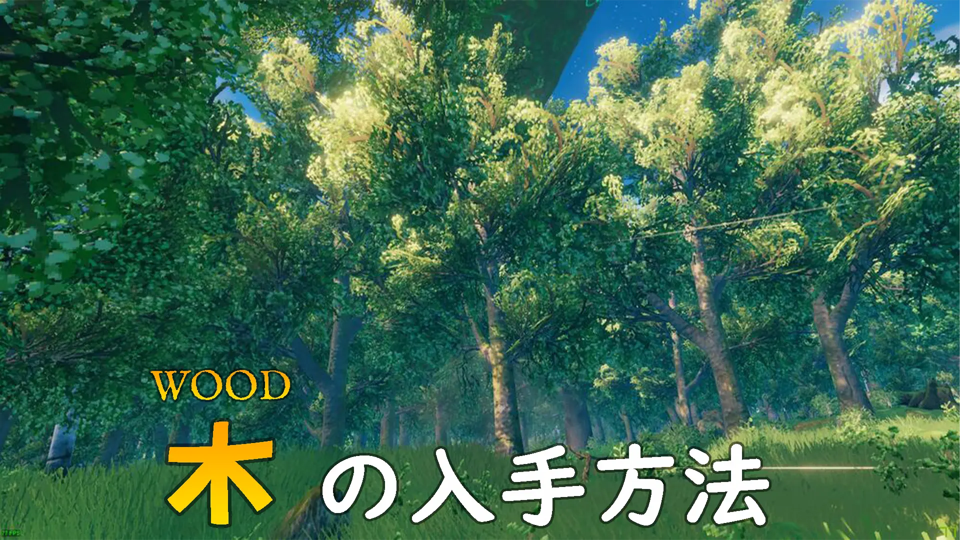 木の入手方法